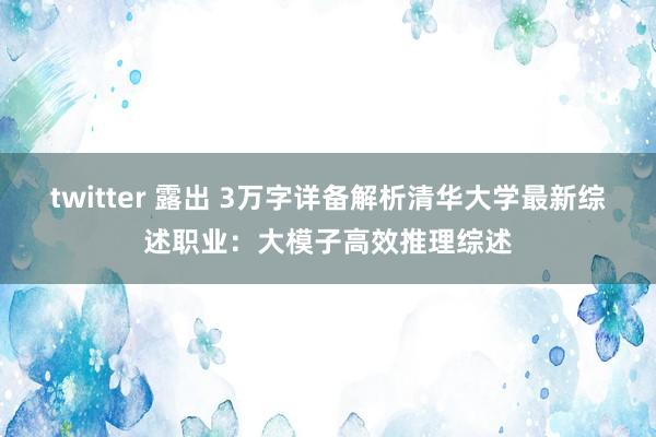 twitter 露出 3万字详备解析清华大学最新综述职业：大模子高效推理综述