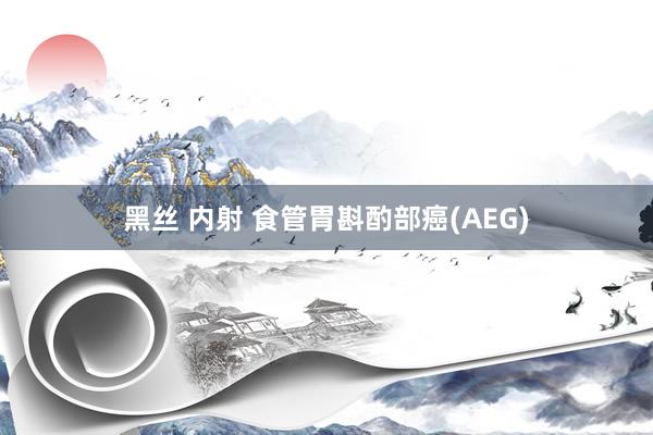 黑丝 内射 食管胃斟酌部癌(AEG)