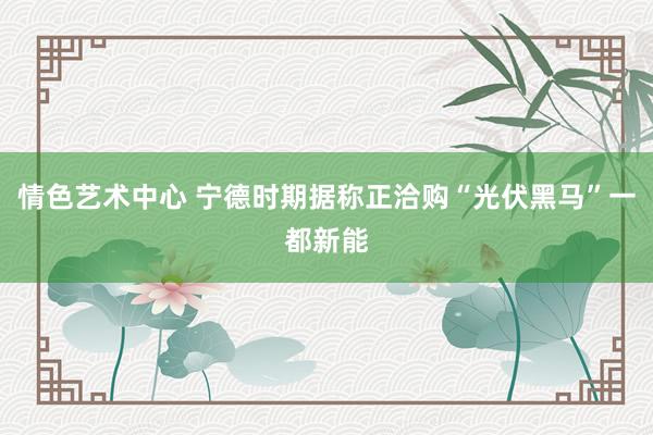 情色艺术中心 宁德时期据称正洽购“光伏黑马”一都新能