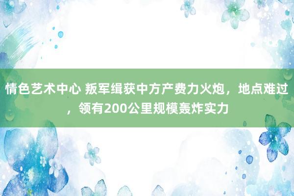 情色艺术中心 叛军缉获中方产费力火炮，地点难过，领有200公里规模轰炸实力