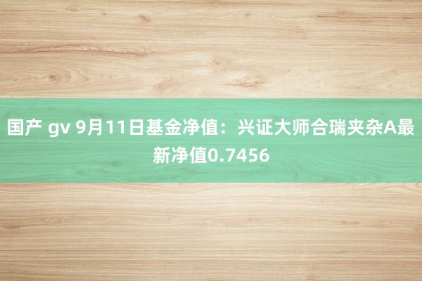 国产 gv 9月11日基金净值：兴证大师合瑞夹杂A最新净值0.7456