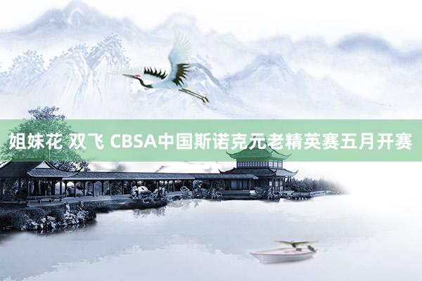 姐妹花 双飞 CBSA中国斯诺克元老精英赛五月开赛