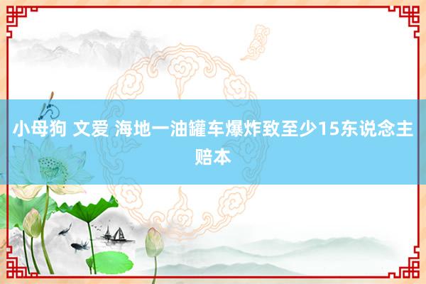 小母狗 文爱 海地一油罐车爆炸致至少15东说念主赔本