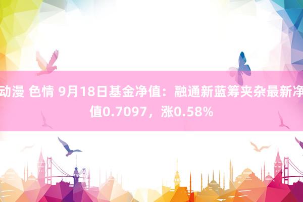 动漫 色情 9月18日基金净值：融通新蓝筹夹杂最新净值0.7097，涨0.58%