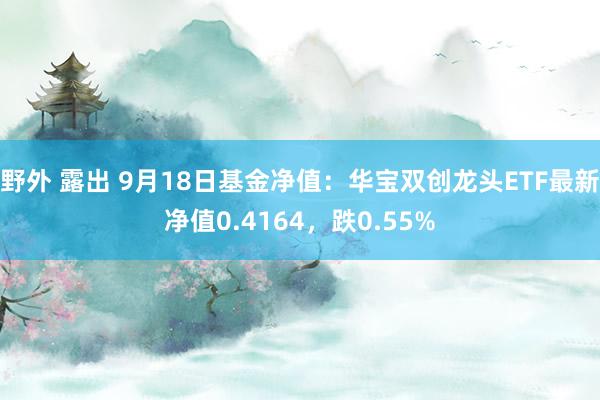 野外 露出 9月18日基金净值：华宝双创龙头ETF最新净值0.4164，跌0.55%