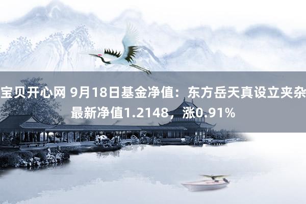 宝贝开心网 9月18日基金净值：东方岳天真设立夹杂最新净值1.2148，涨0.91%