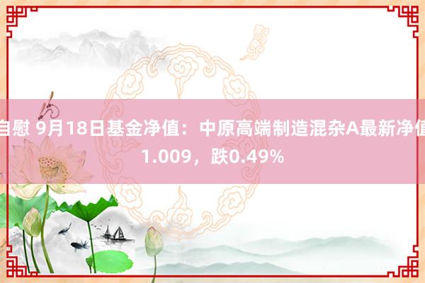 自慰 9月18日基金净值：中原高端制造混杂A最新净值1.009，跌0.49%