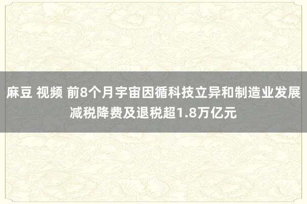 麻豆 视频 前8个月宇宙因循科技立异和制造业发展减税降费及退税超1.8万亿元