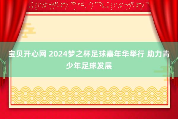 宝贝开心网 2024梦之杯足球嘉年华举行 助力青少年足球发展