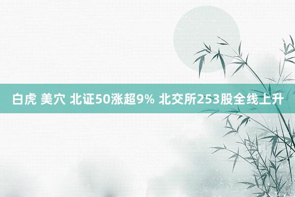 白虎 美穴 北证50涨超9% 北交所253股全线上升