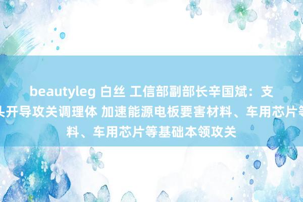 beautyleg 白丝 工信部副部长辛国斌：支援龙头企业牵头开导攻关调理体 加速能源电板要害材料、车用芯片等基础本领攻关