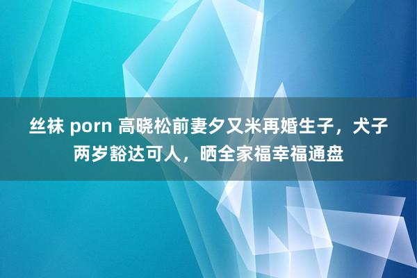 丝袜 porn 高晓松前妻夕又米再婚生子，犬子两岁豁达可人，<a href=