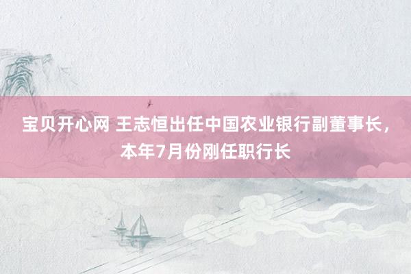 宝贝开心网 王志恒出任中国农业银行副董事长，本年7月份刚任职行长