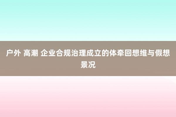 户外 高潮 企业合规治理成立的体牵回想维与假想景况