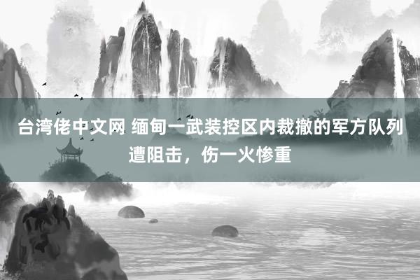 台湾佬中文网 缅甸一武装控区内裁撤的军方队列遭阻击，伤一火惨重