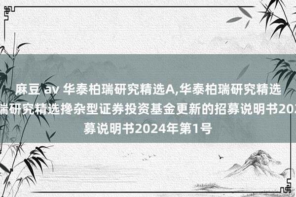 麻豆 av 华泰柏瑞研究精选A，华泰柏瑞研究精选C: 华泰柏瑞研究精选搀杂型证券投资基金更新的招募说明书2024年第1号