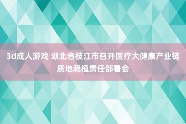 3d成人游戏 湖北省枝江市召开医疗大健康产业链质地栽植责任部署会