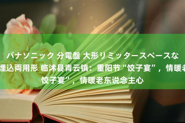 パナソニック 分電盤 大形リミッタースペースなし 露出・半埋込両用形 临沭县青云镇：重阳节“饺子宴”，情暖老东说念主心