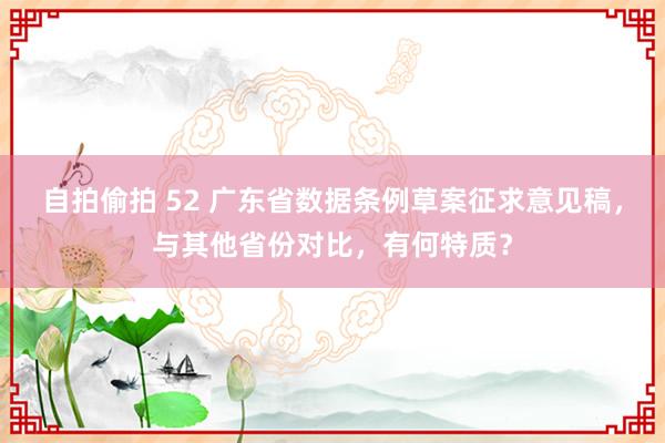 自拍偷拍 52 广东省数据条例草案征求意见稿，与其他省份对比，有何特质？