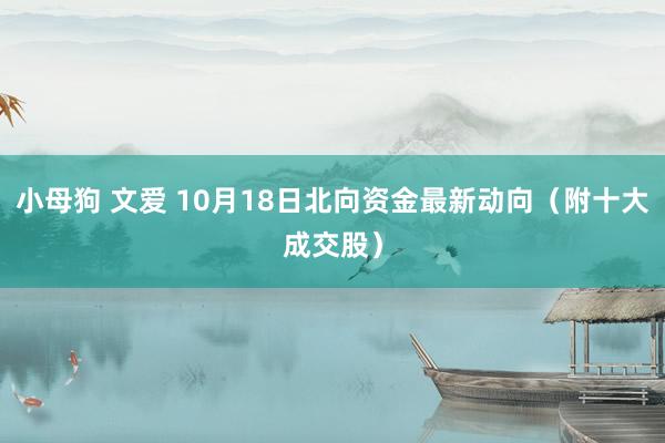 小母狗 文爱 10月18日北向资金最新动向（附十大成交股）