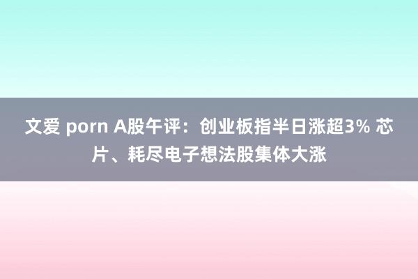 文爱 porn A股午评：创业板指半日涨超3% 芯片、耗尽电子想法股集体大涨