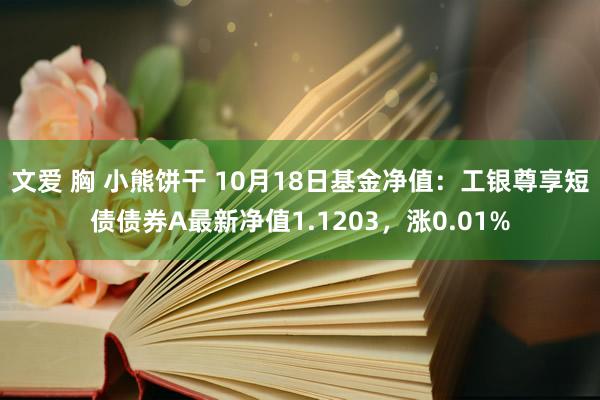 文爱 胸 小熊饼干 10月18日基金净值：工银尊享短债债券A最新净值1.1203，涨0.01%