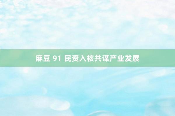 麻豆 91 民资入核共谋产业发展