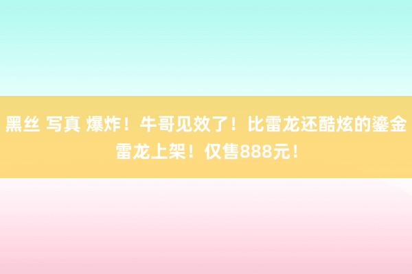 黑丝 写真 爆炸！牛哥见效了！比雷龙还酷炫的鎏金雷龙上架！仅售888元！