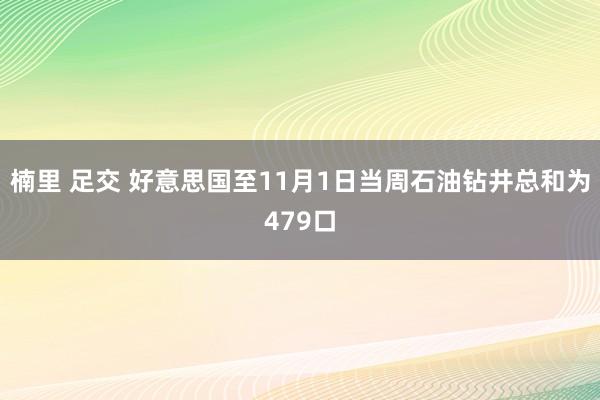 楠里 足交 好意思国至11月1日当周石油钻井总和为479口