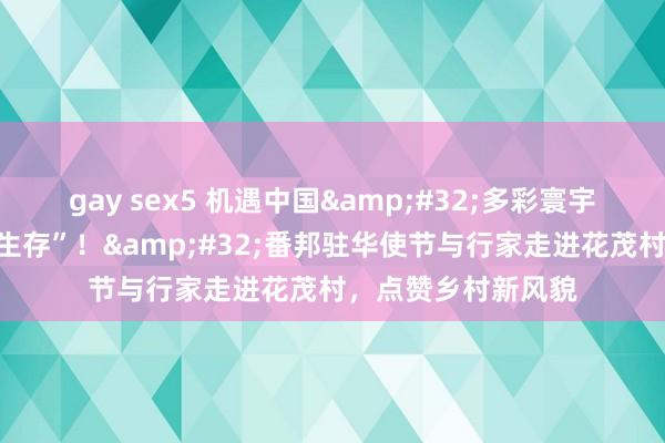 gay sex5 机遇中国&#32;多彩寰宇｜“这是我向往的生存”！&#32;番邦驻华使节与行家走进花茂村，点赞乡村新风貌