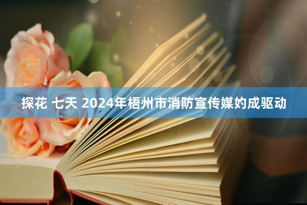 探花 七天 2024年梧州市消防宣传媒妁成驱动