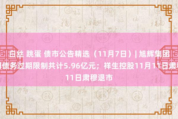 白丝 跳蛋 债市公告精选（11月7日）| 旭辉集团子公司债务过期限制共计5.96亿元；祥生控股11月11日肃穆退市