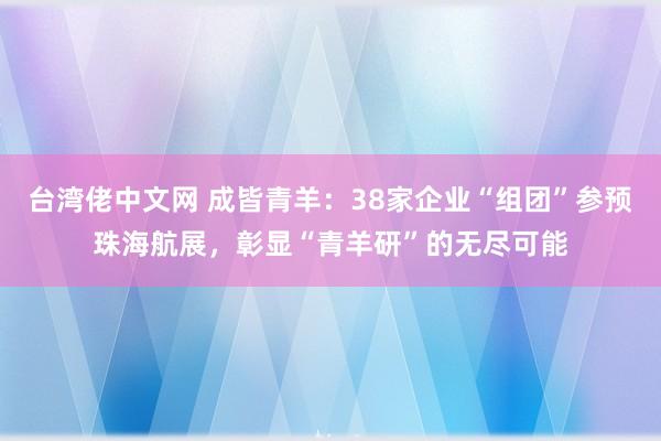 台湾佬中文网 成皆青羊：38家企业“组团”参预珠海航展，彰显“青羊研”的无尽可能