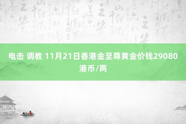 电击 调教 11月21日香港金至尊黄金价钱29080港币/两