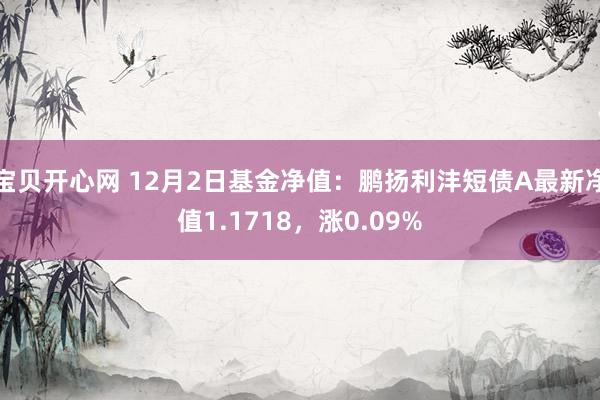 宝贝开心网 12月2日基金净值：鹏扬利沣短债A最新净值1.1718，涨0.09%