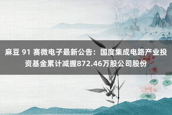 麻豆 91 赛微电子最新公告：国度集成电路产业投资基金累计减握872.46万股公司股份