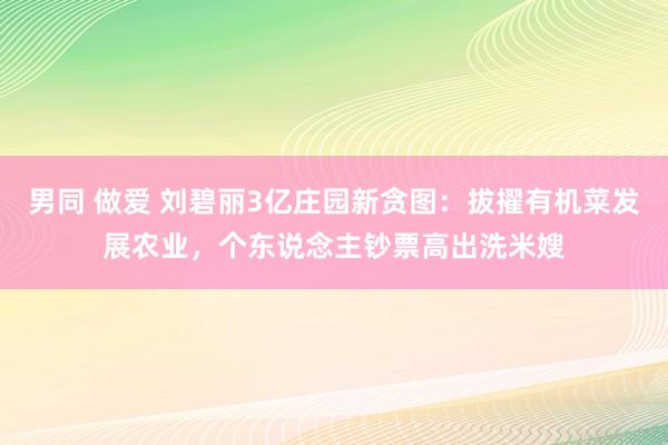 男同 做爱 刘碧丽3亿庄园新贪图：拔擢有机菜发展农业，个东说念主钞票高出洗米嫂