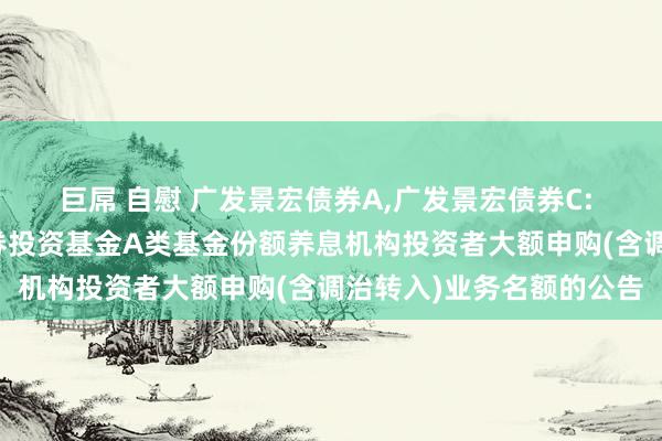 巨屌 自慰 广发景宏债券A，广发景宏债券C: 对于广发景宏债券型证券投资基金A类基金份额养息机构投资者大额申购(含调治转入)业务名额的公告