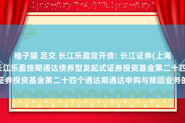 柚子猫 足交 长江乐盈定开债: 长江证券(上海)资产处置有限公司对于长江乐盈按期通达债券型发起式证券投资基金第二十四个通达期通达申购与赎回业务的公告