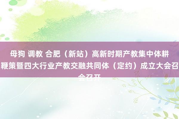 母狗 调教 合肥（新站）高新时期产教集中体耕种鞭策暨四大行业产教交融共同体（定约）成立大会召开