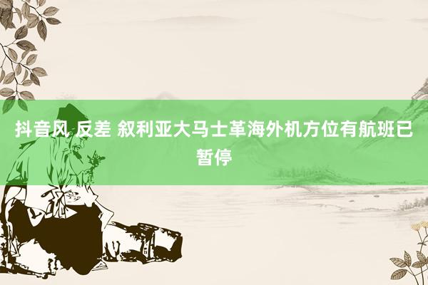 抖音风 反差 叙利亚大马士革海外机方位有航班已暂停