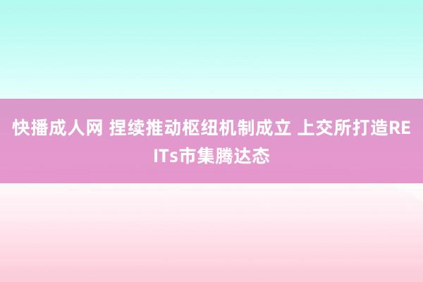 快播成人网 捏续推动枢纽机制成立 上交所打造REITs市集腾达态