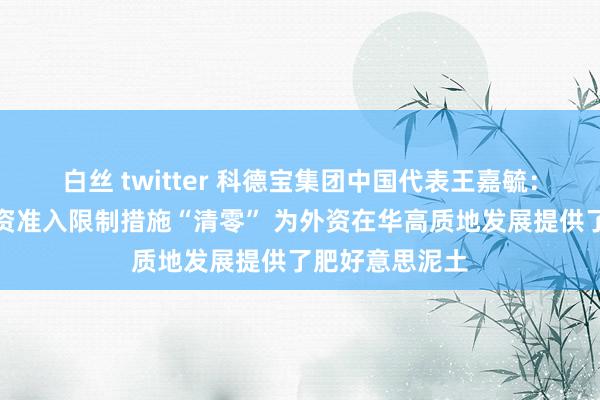 白丝 twitter 科德宝集团中国代表王嘉毓：制造业鸿沟外资准入限制措施“清零” 为外资在华高质地发展提供了肥好意思泥土