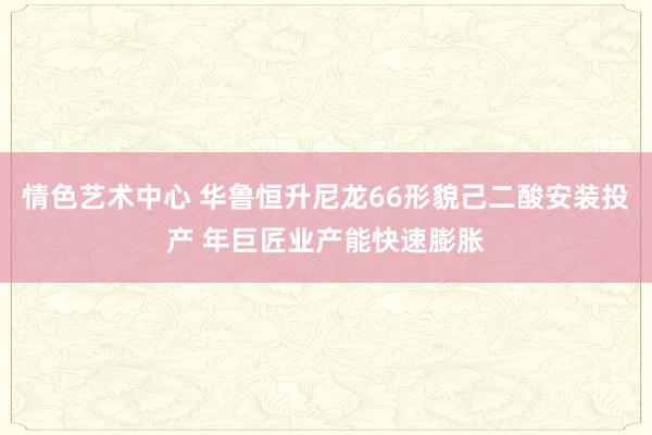 情色艺术中心 华鲁恒升尼龙66形貌己二酸安装投产 年巨匠业产能快速膨胀