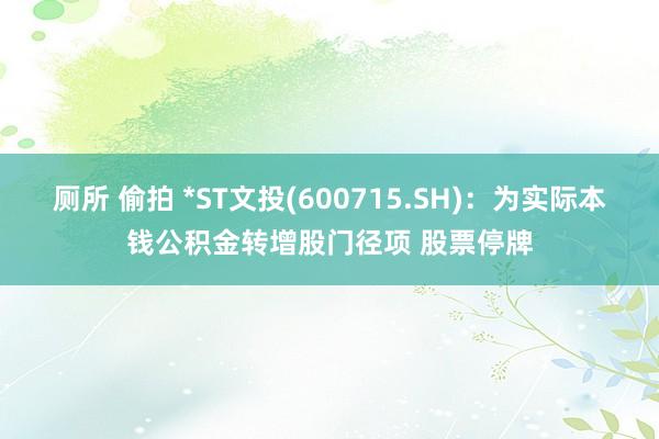 厕所 偷拍 *ST文投(600715.SH)：为实际本钱公积金转增股门径项 股票停牌