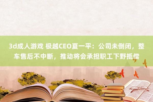 3d成人游戏 极越CEO夏一平：公司未倒闭，整车售后不中断，推动将会承担职工下野抵偿