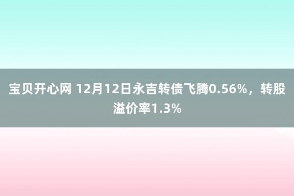 宝贝开心网 12月12日永吉转债飞腾0.56%，转股溢价率1.3%