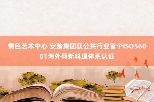 情色艺术中心 安踏集团获公共行业首个ISO56001海外翻新料理体系认证