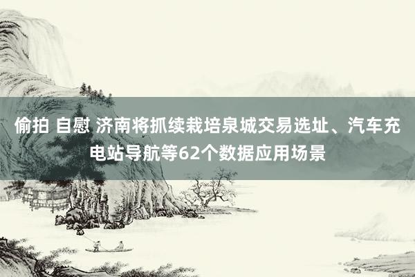 偷拍 自慰 济南将抓续栽培泉城交易选址、汽车充电站导航等62个数据应用场景