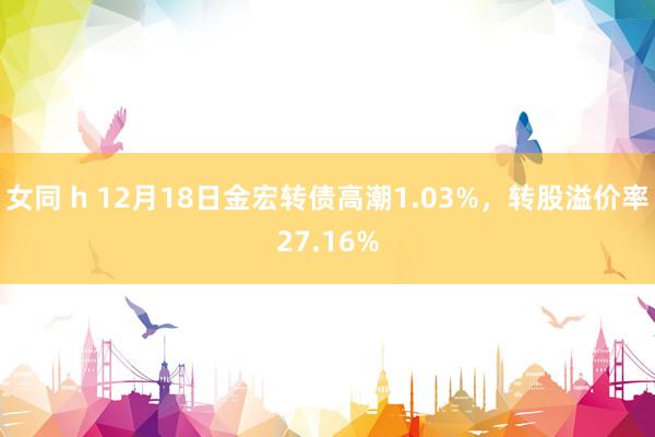 女同 h 12月18日金宏转债高潮1.03%，转股溢价率27.16%